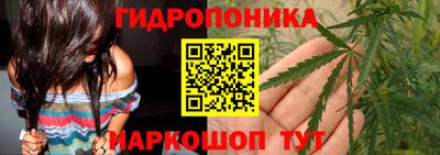 ешки Кимры