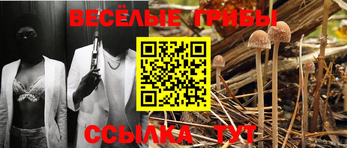 Псилоцибиновые грибы Cubensis  Вход с VPN  Смоленск 